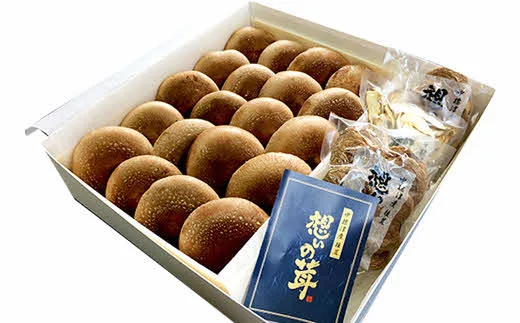 想いの茸の生椎茸・乾燥しいたけセット